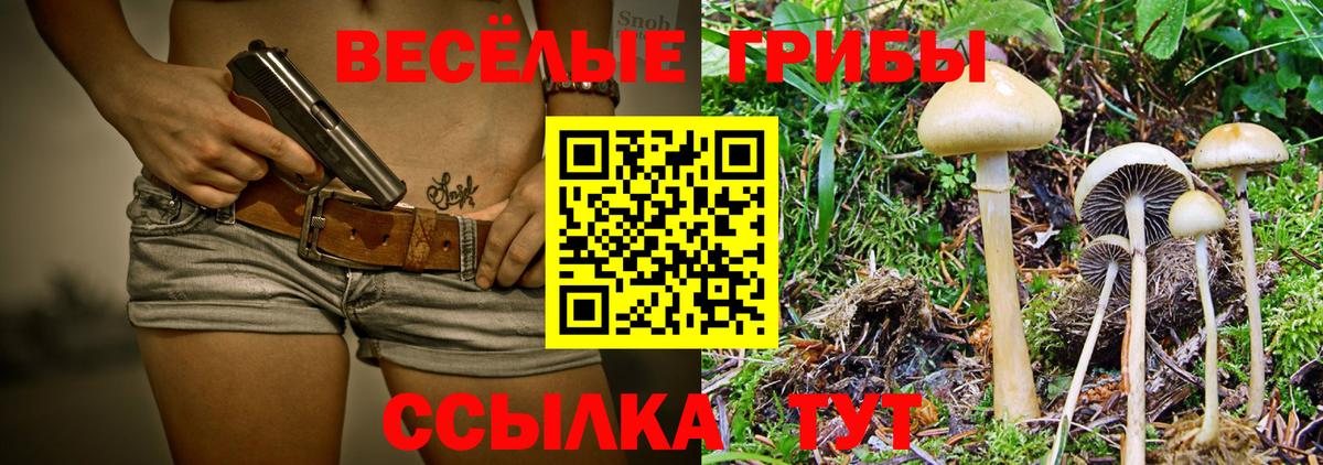 Галлюциногенные грибы ЛСД  Вход с VPN  закладка  Камышлов 
