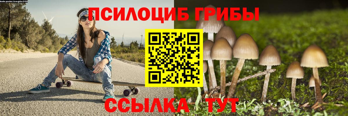 Псилоцибиновые грибы Psilocybe Камышлов