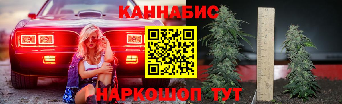 Шишки марихуана план  Марихуана LSD WEED  Камышлов  Конопля Bruce Banner  Вход с VPN 